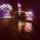 evepa88#angarrack #lights #angarracklights #cornwall #christmas